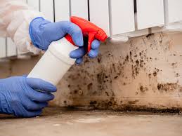 Mold Removal for HVAC Installations